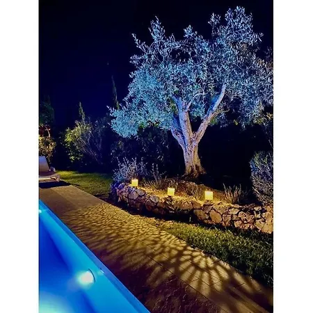 Διαμέρισμα Cosy In