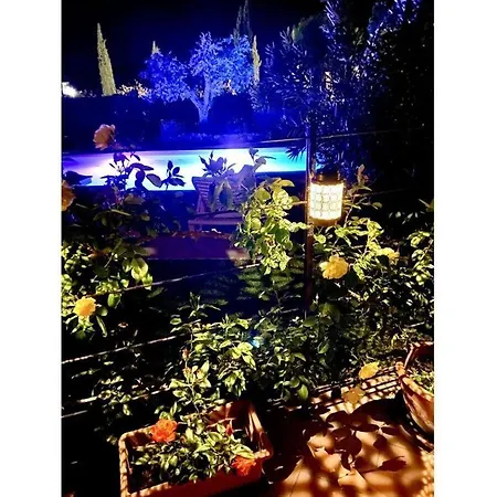 Cosy In * Castagneto Carducci