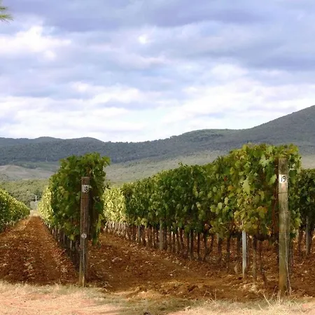 Διαμέρισμα Cosy In Castagneto Carducci